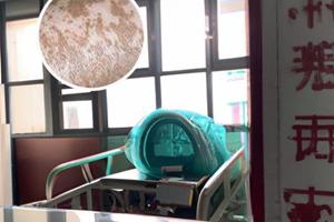 新鄉(xiāng)外陰白斑能治好嗎